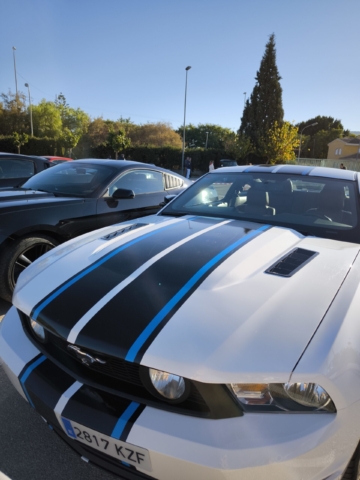 auto mustang triinusirge triinu eesti sirge heaolu mentor